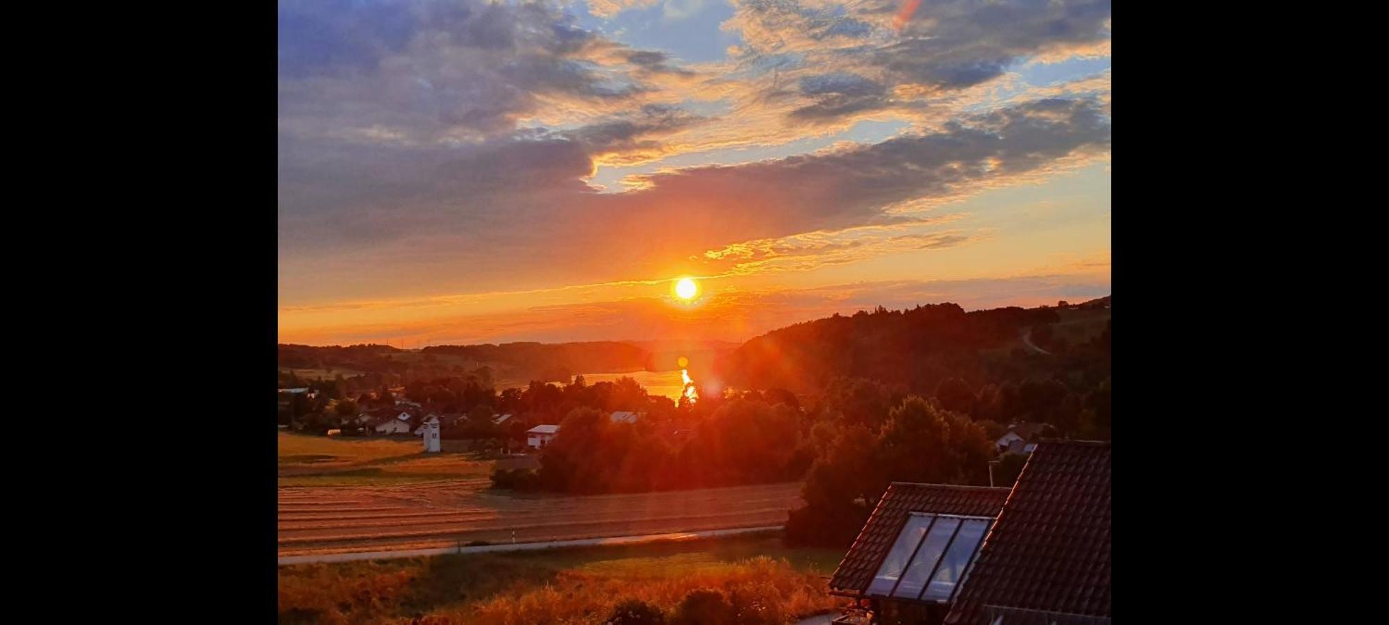Mitterfelder Donaublick Daire Vilshofen an der Donau Dış mekan fotoğraf