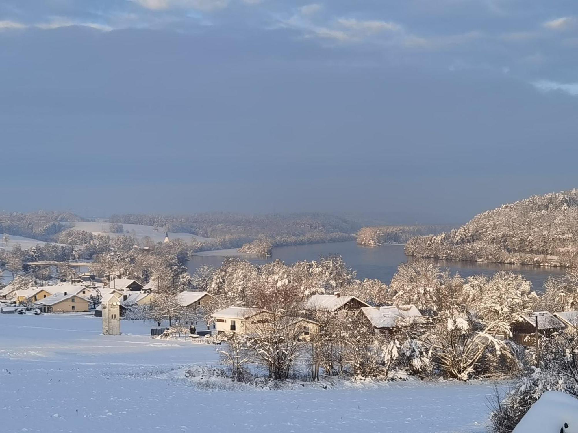 Mitterfelder Donaublick Daire Vilshofen an der Donau Dış mekan fotoğraf